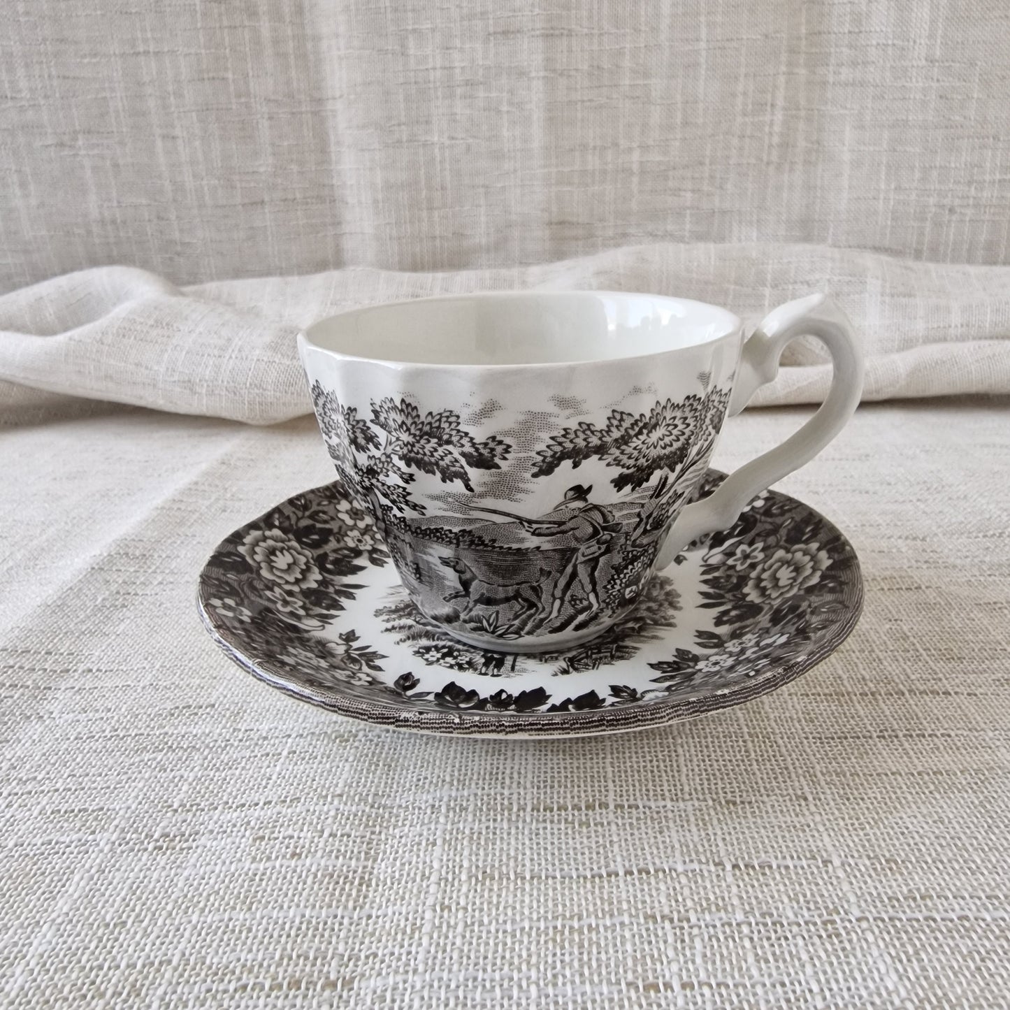 Alfred Meakin Homeland Teacup and Saucer