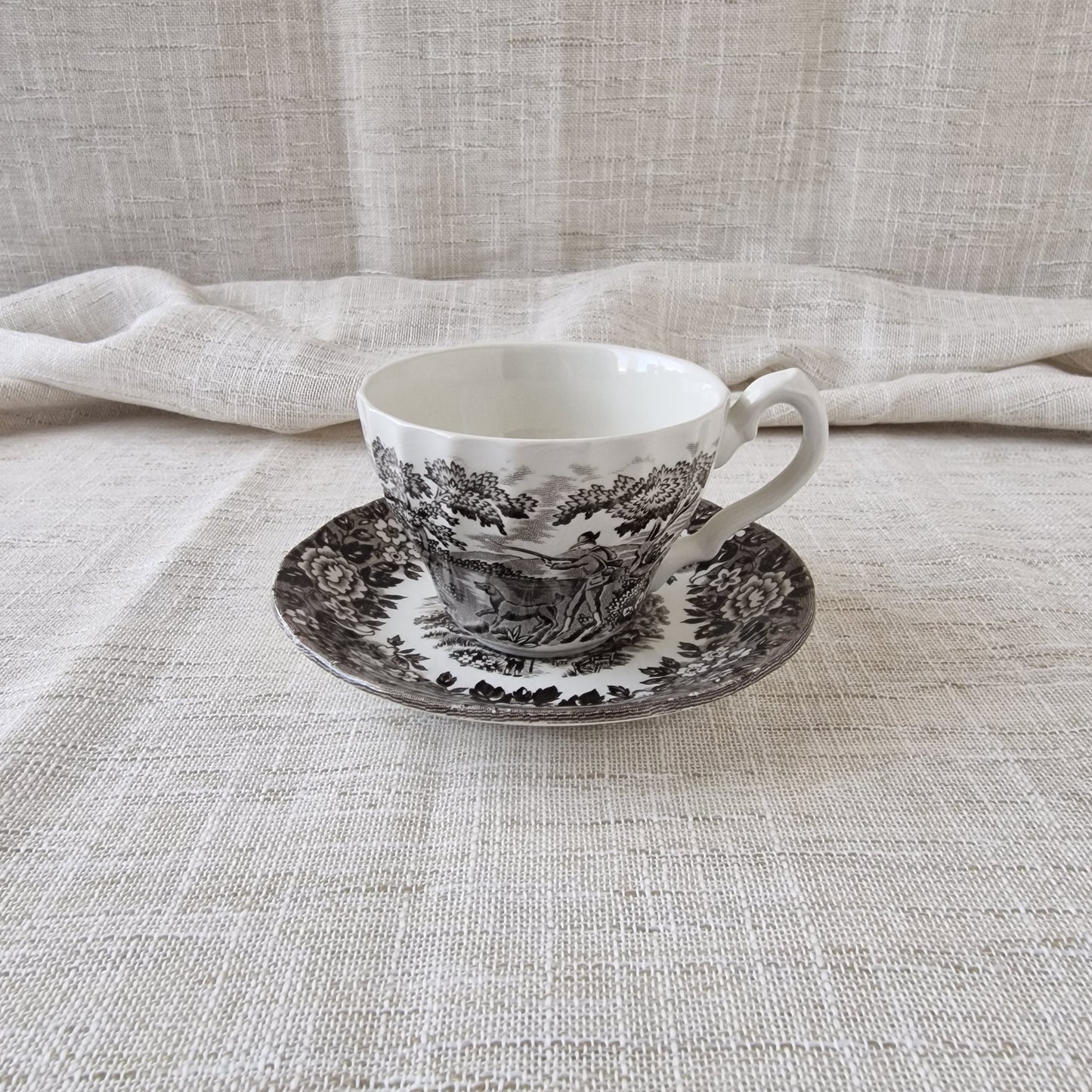 Alfred Meakin Homeland Teacup and Saucer