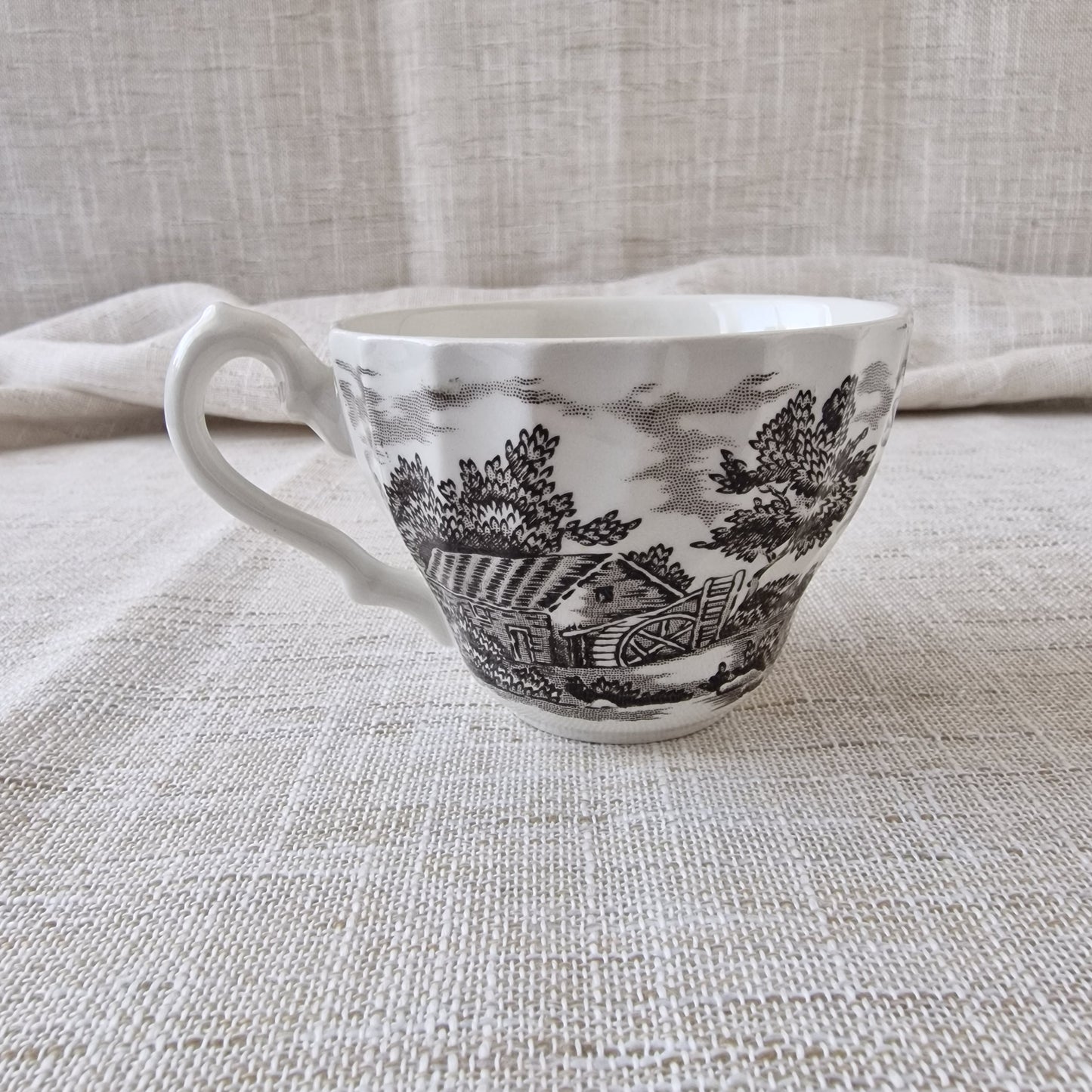 Alfred Meakin Homeland Teacup and Saucer