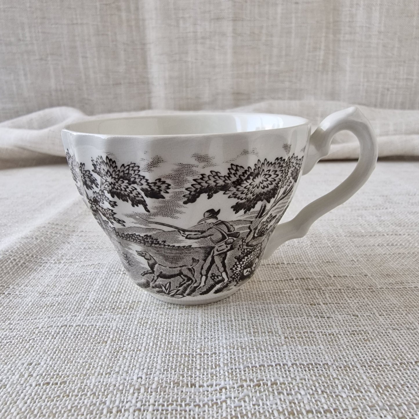 Alfred Meakin Homeland Teacup and Saucer