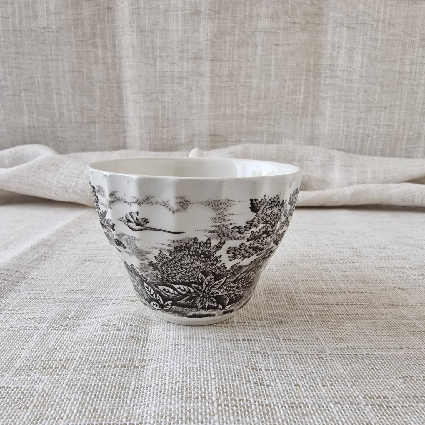 Alfred Meakin Homeland Teacup and Saucer