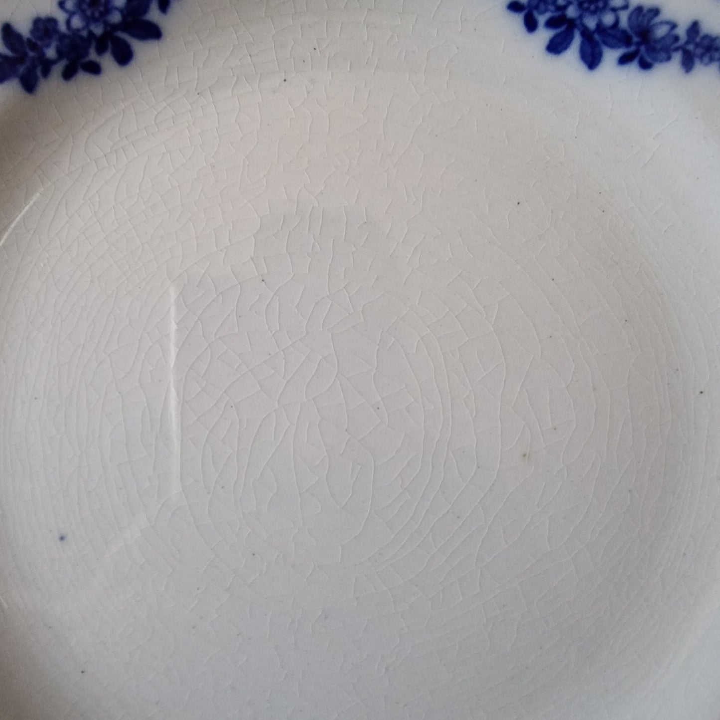 Antique Flow Blue Knowsley Plates by F. Winkle & Co.